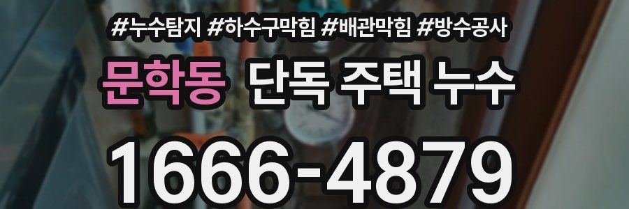 문학동 단독 주택 누수