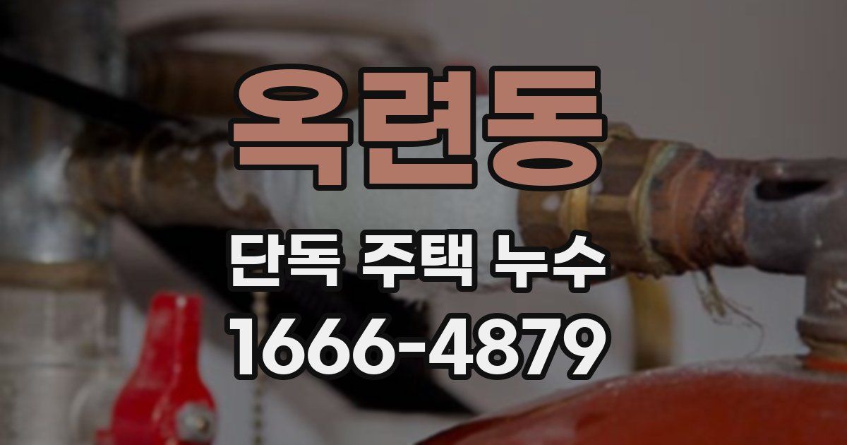 옥련동 단독 주택 누수