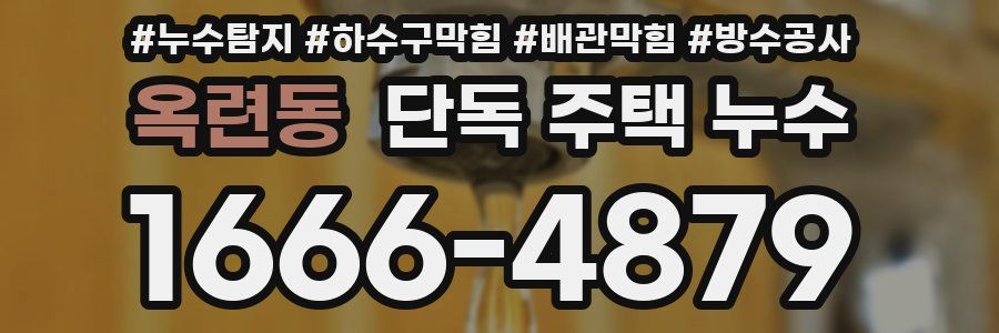 옥련동 단독 주택 누수