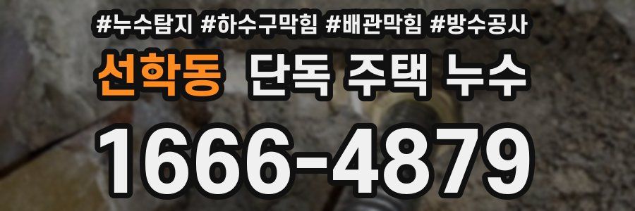 선학동 단독 주택 누수