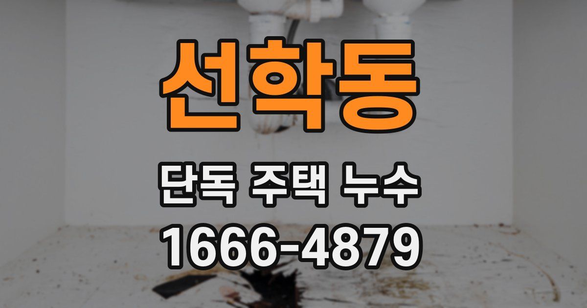선학동 단독 주택 누수