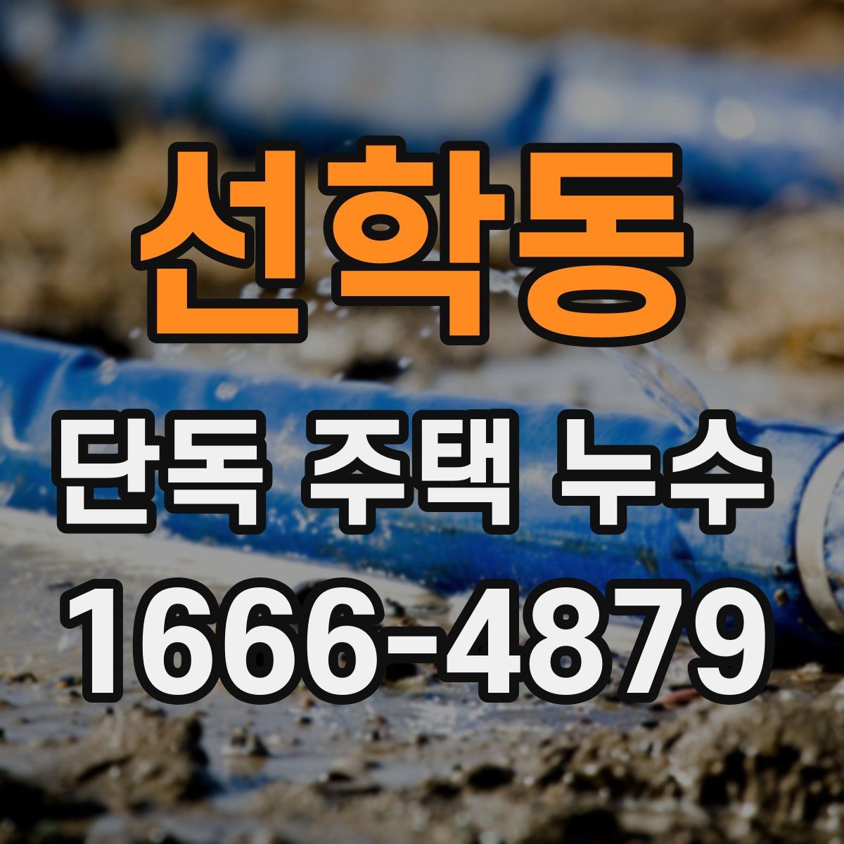 선학동 단독 주택 누수