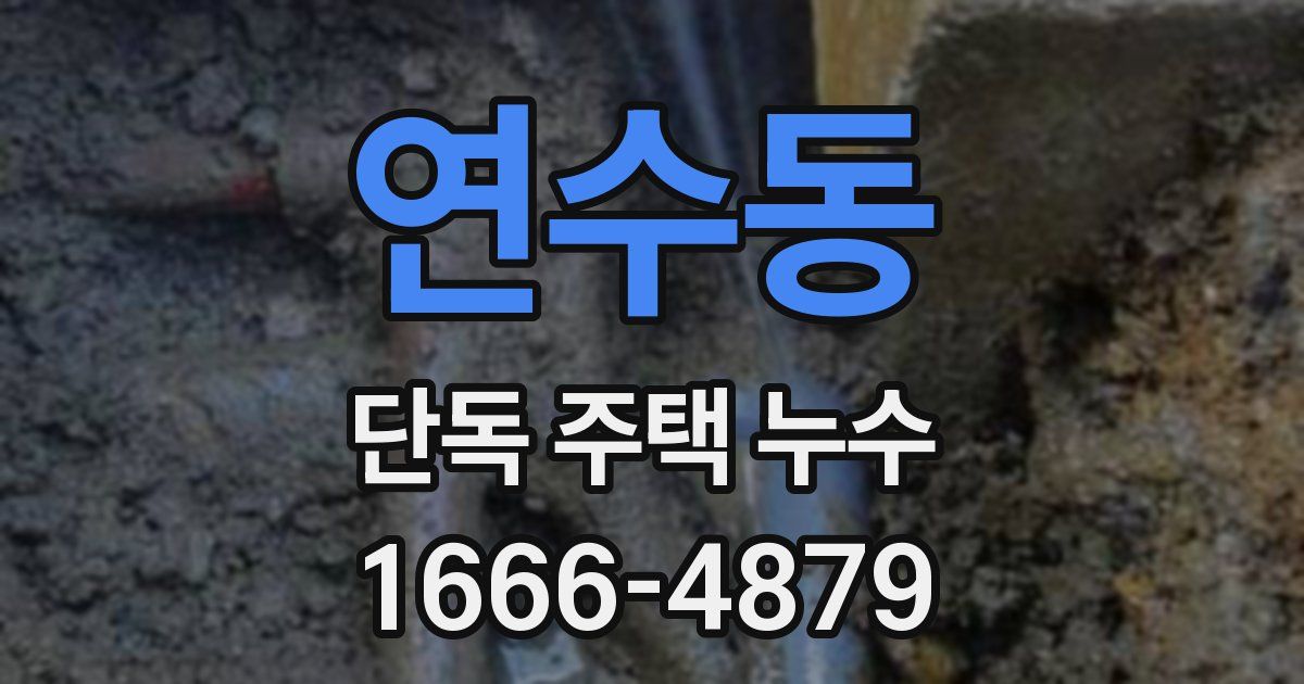 연수동 단독 주택 누수
