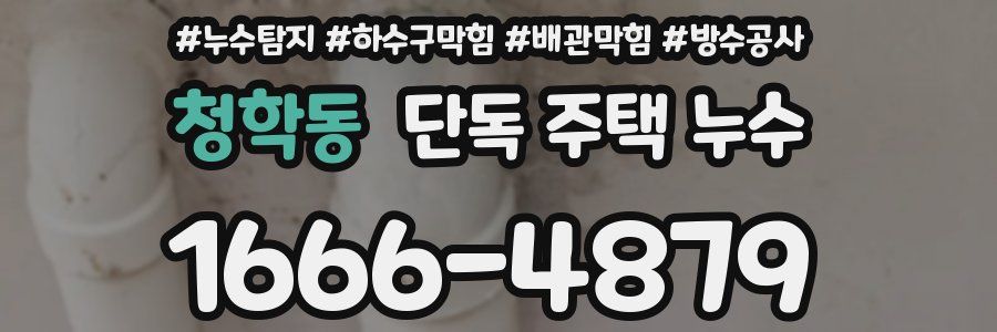 청학동 단독 주택 누수
