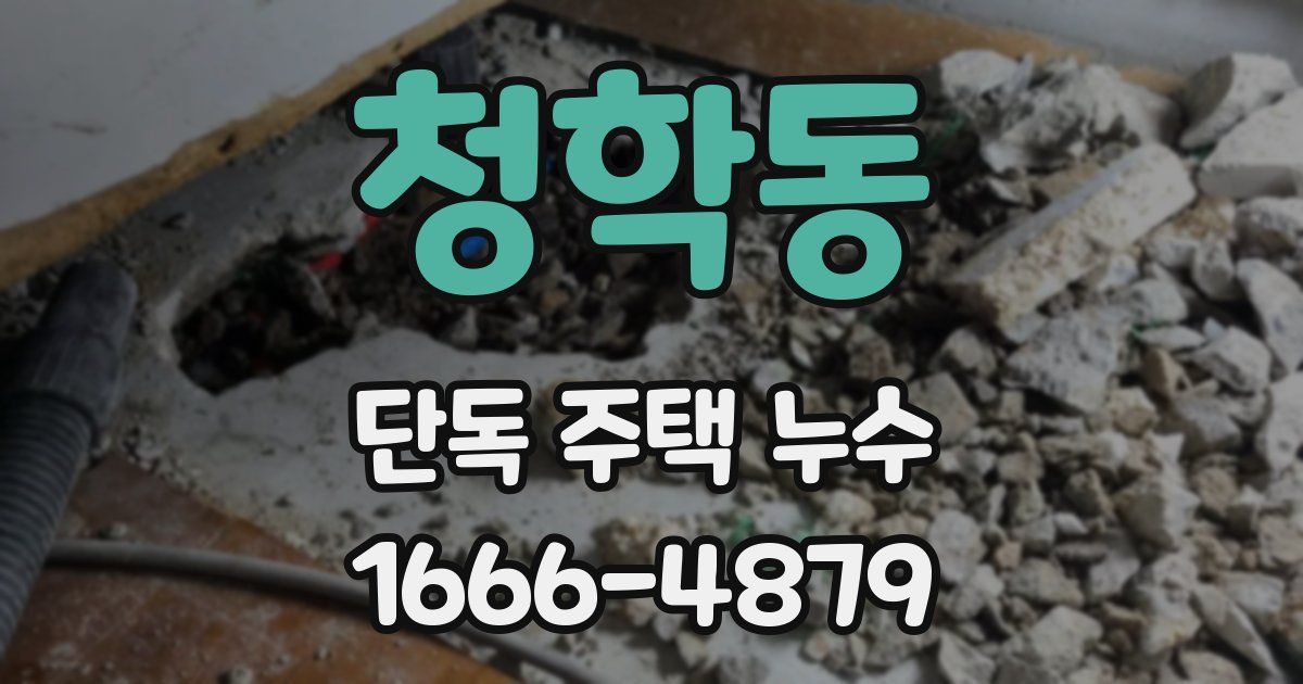 청학동 단독 주택 누수