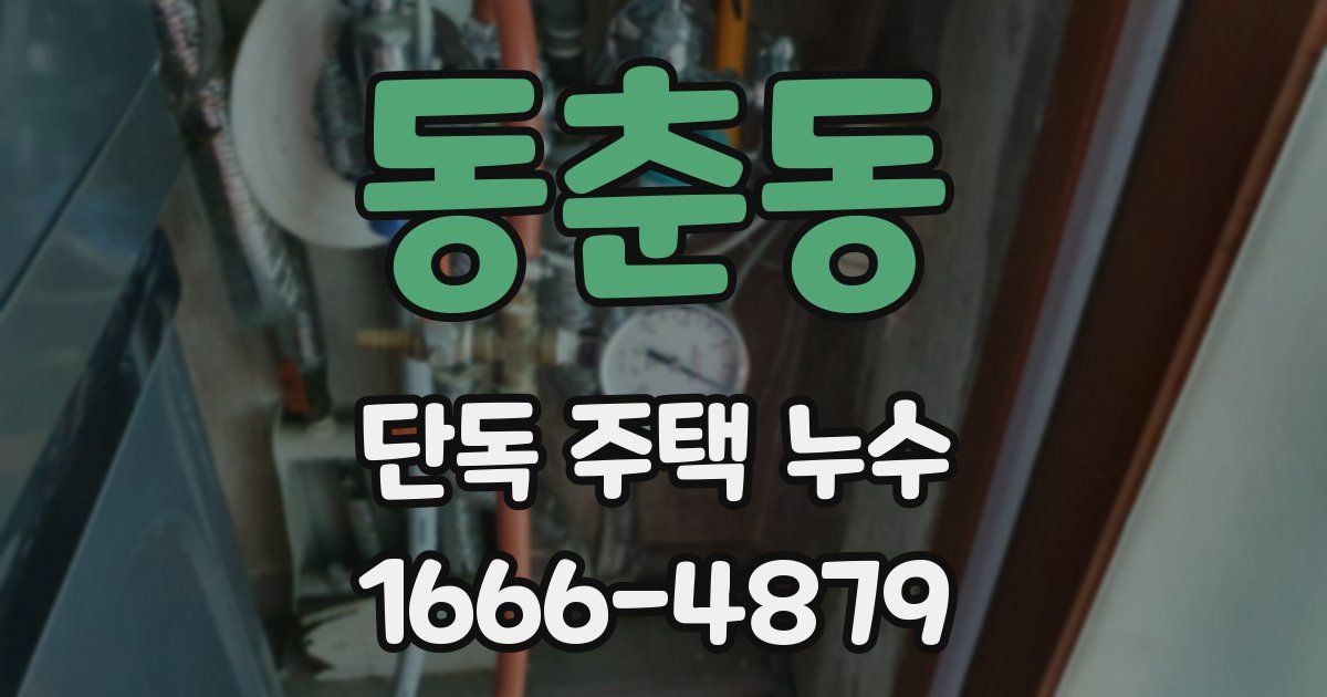 동춘동 단독 주택 누수