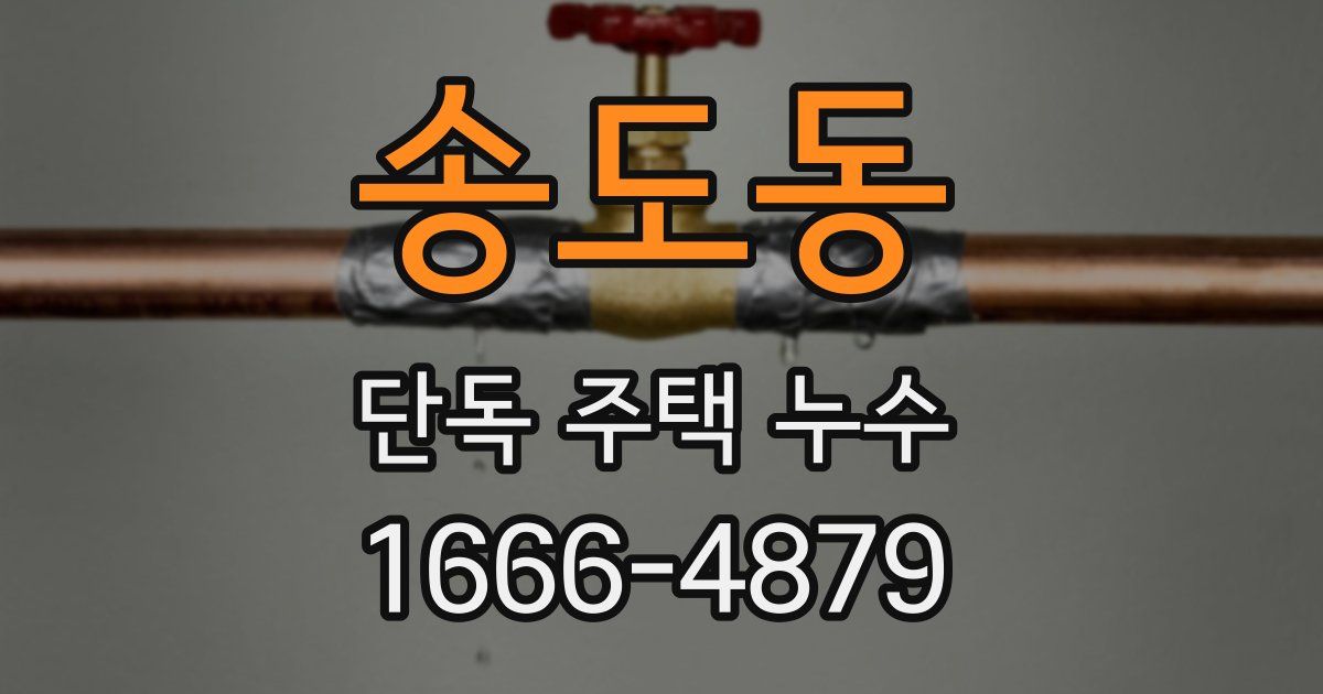 송도동 단독 주택 누수