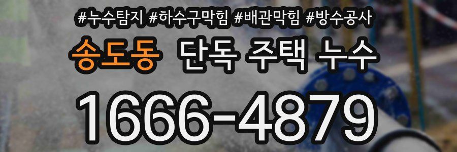 송도동 단독 주택 누수
