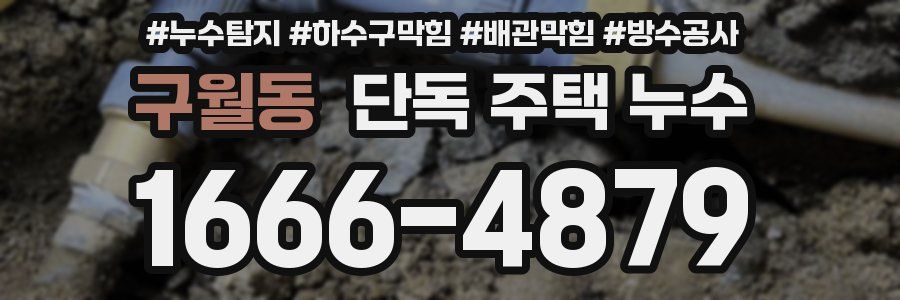 구월동 단독 주택 누수