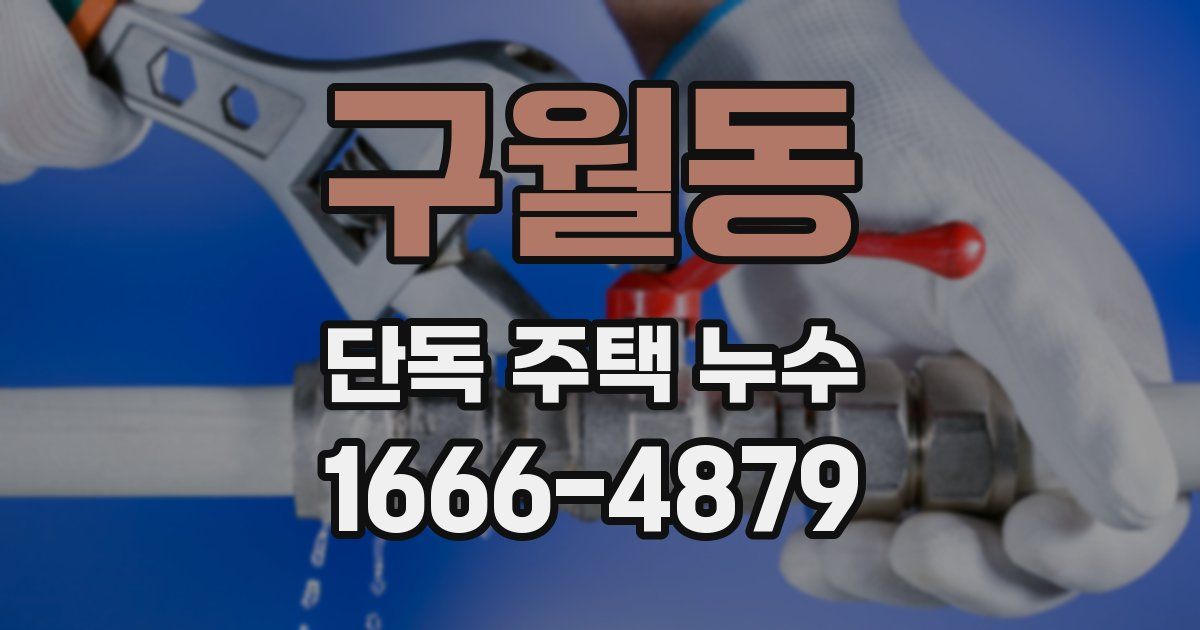구월동 단독 주택 누수