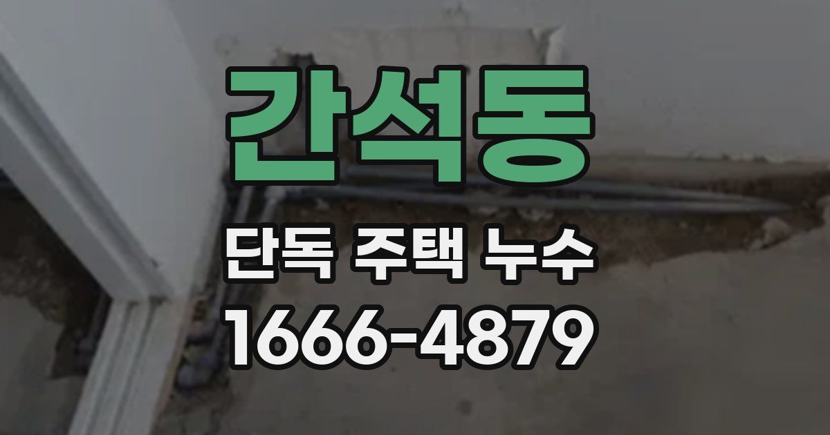 간석동 단독 주택 누수