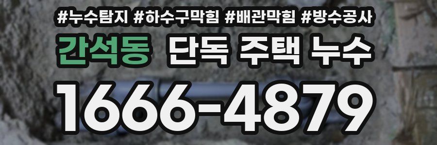 간석동 단독 주택 누수