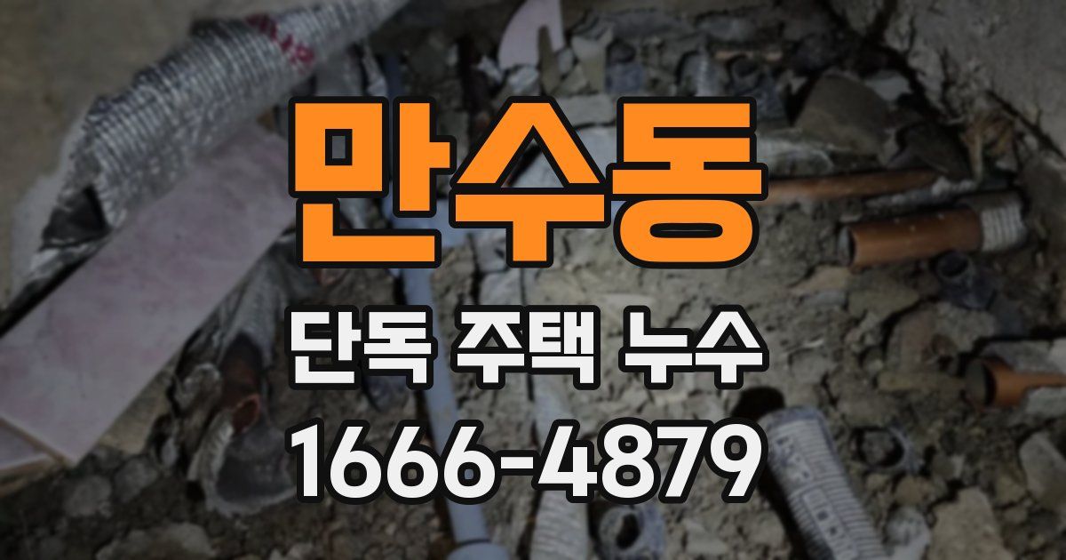 만수동 단독 주택 누수
