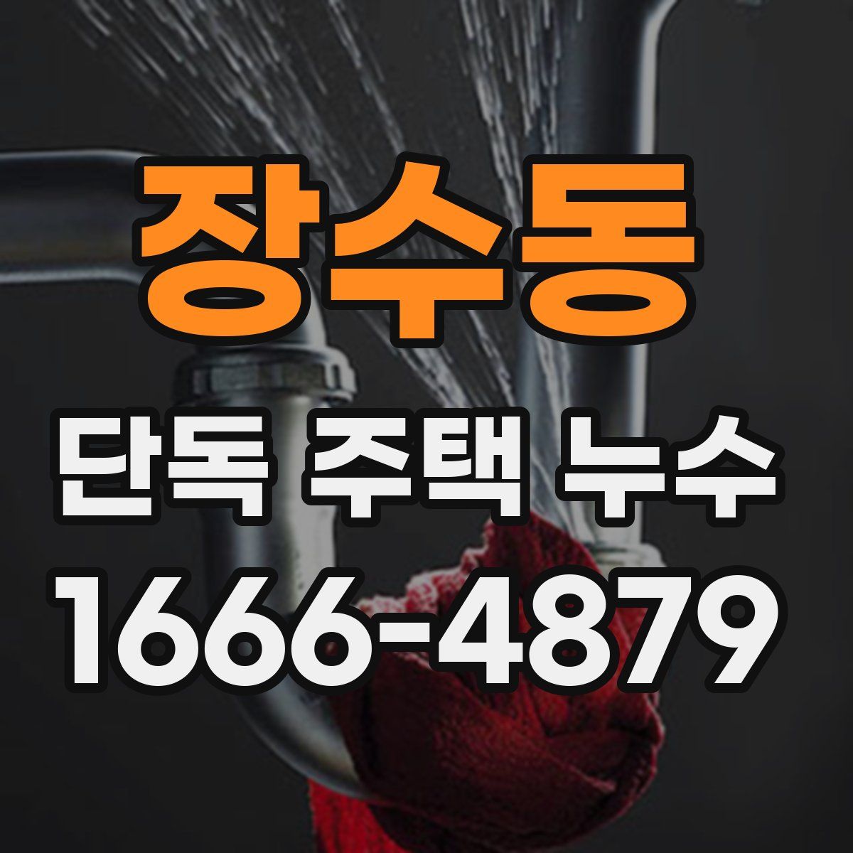 장수동 단독 주택 누수
