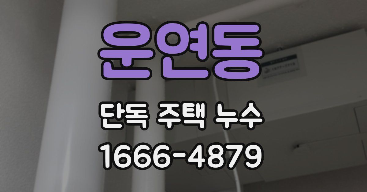 운연동 단독 주택 누수