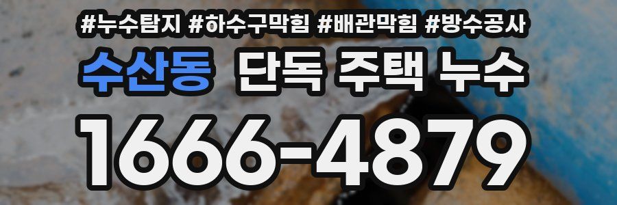 수산동 단독 주택 누수