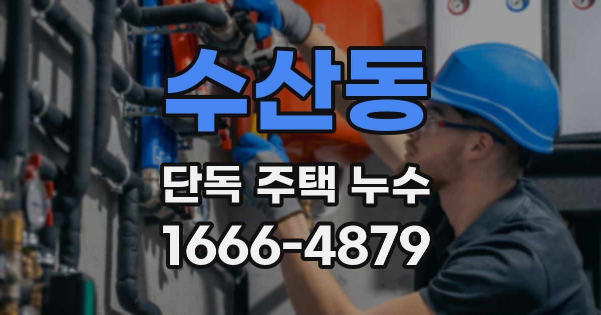 수산동 단독 주택 누수