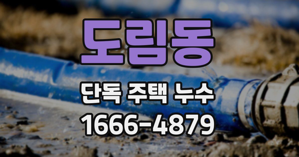 도림동 단독 주택 누수