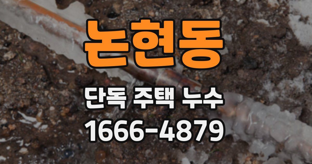 논현동 단독 주택 누수