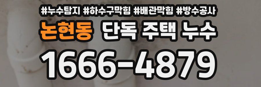 논현동 단독 주택 누수