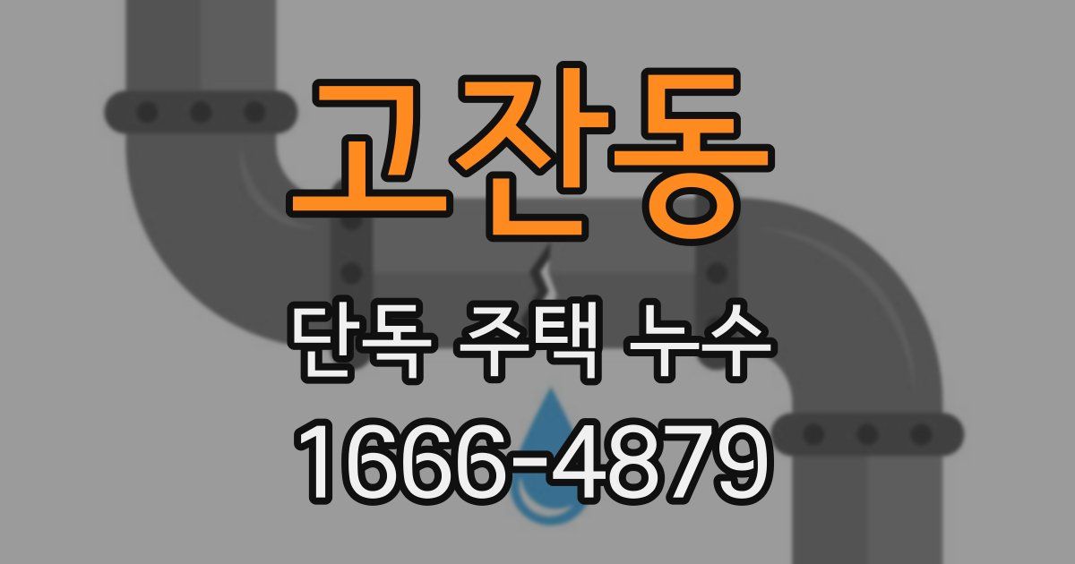 고잔동 단독 주택 누수