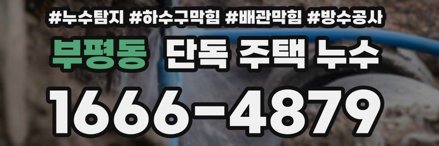 부평동 단독 주택 누수