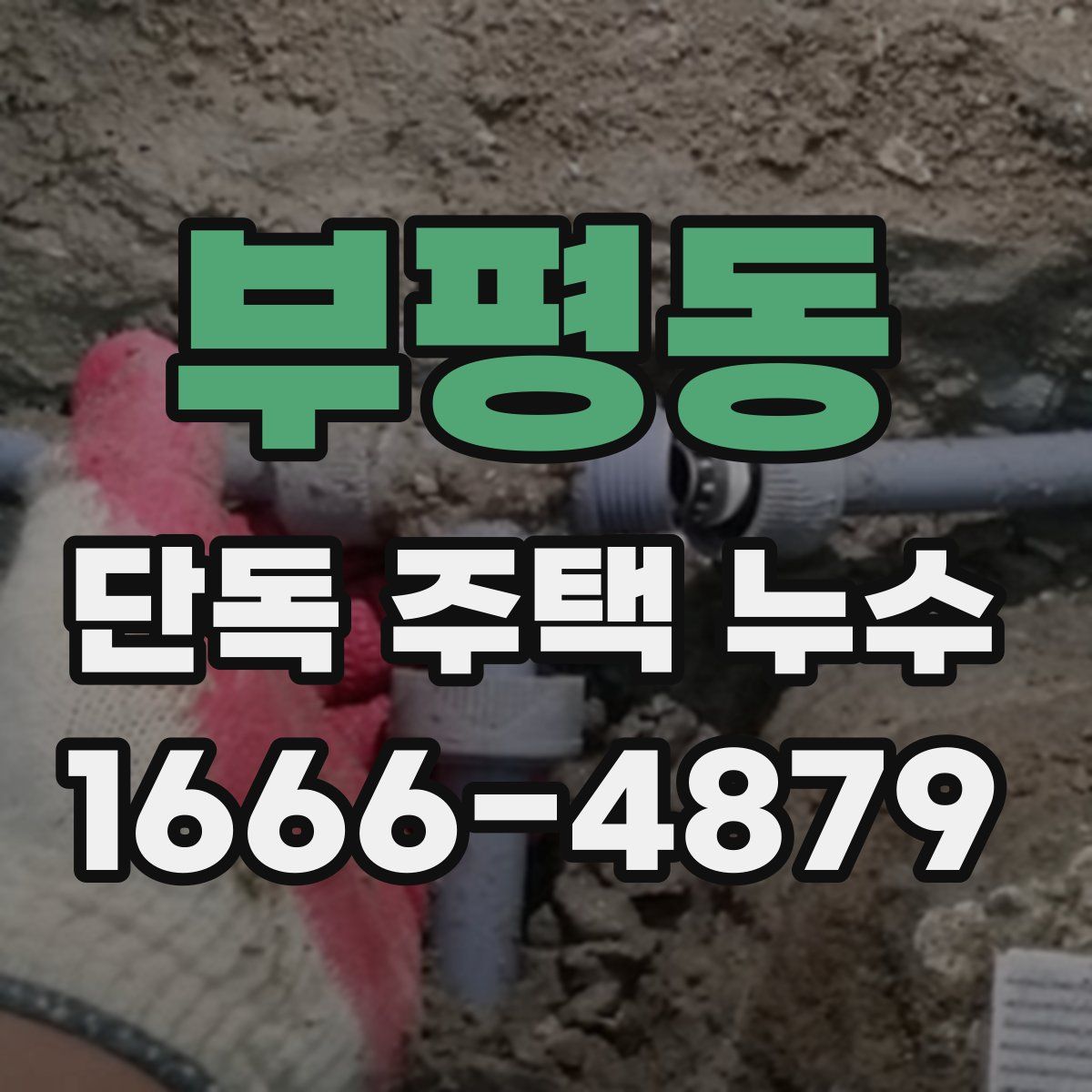 부평동 단독 주택 누수