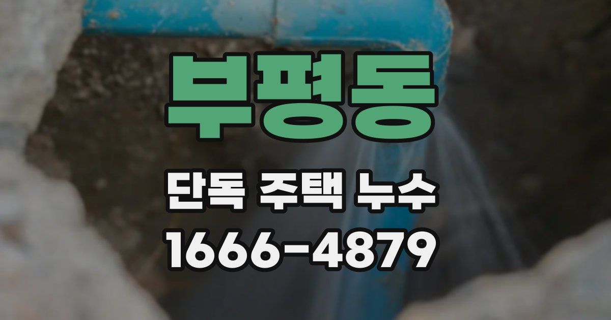 부평동 단독 주택 누수