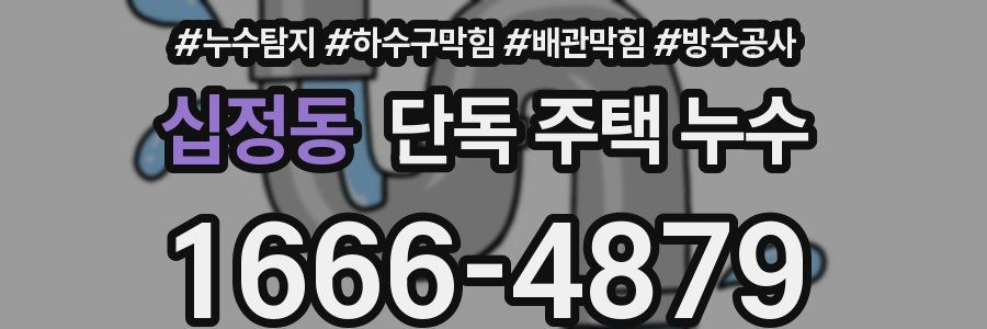 십정동 단독 주택 누수