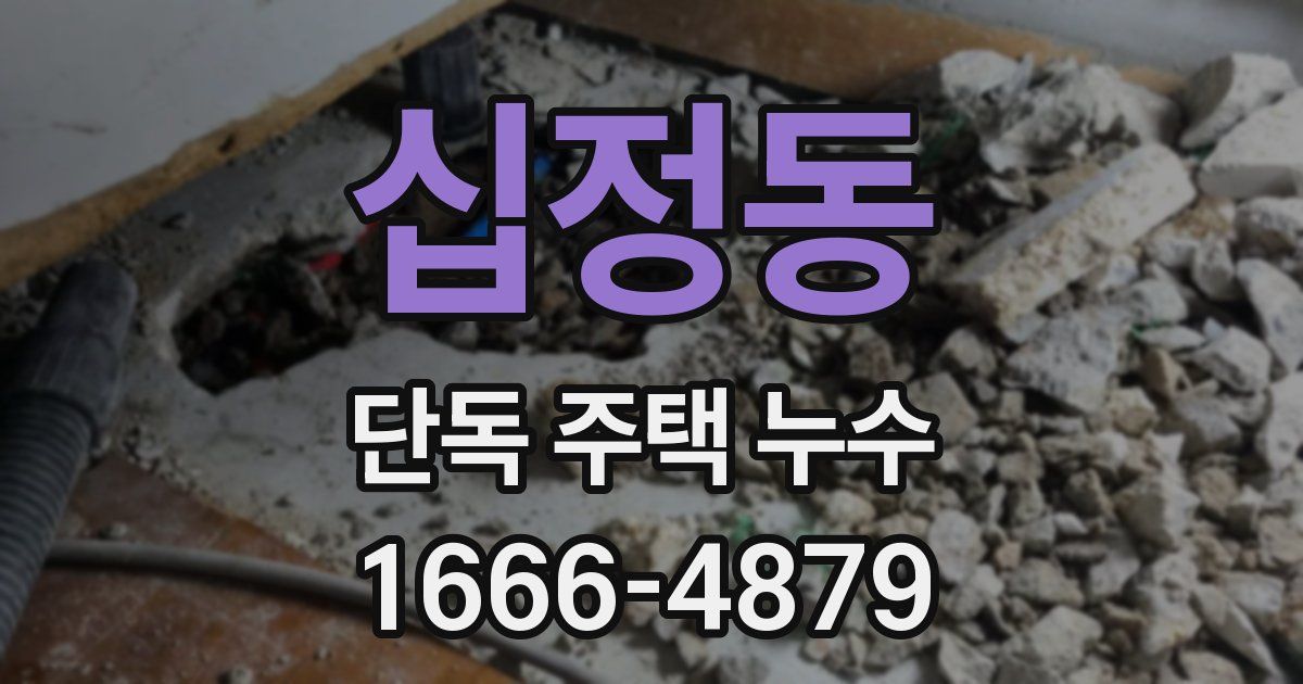 십정동 단독 주택 누수