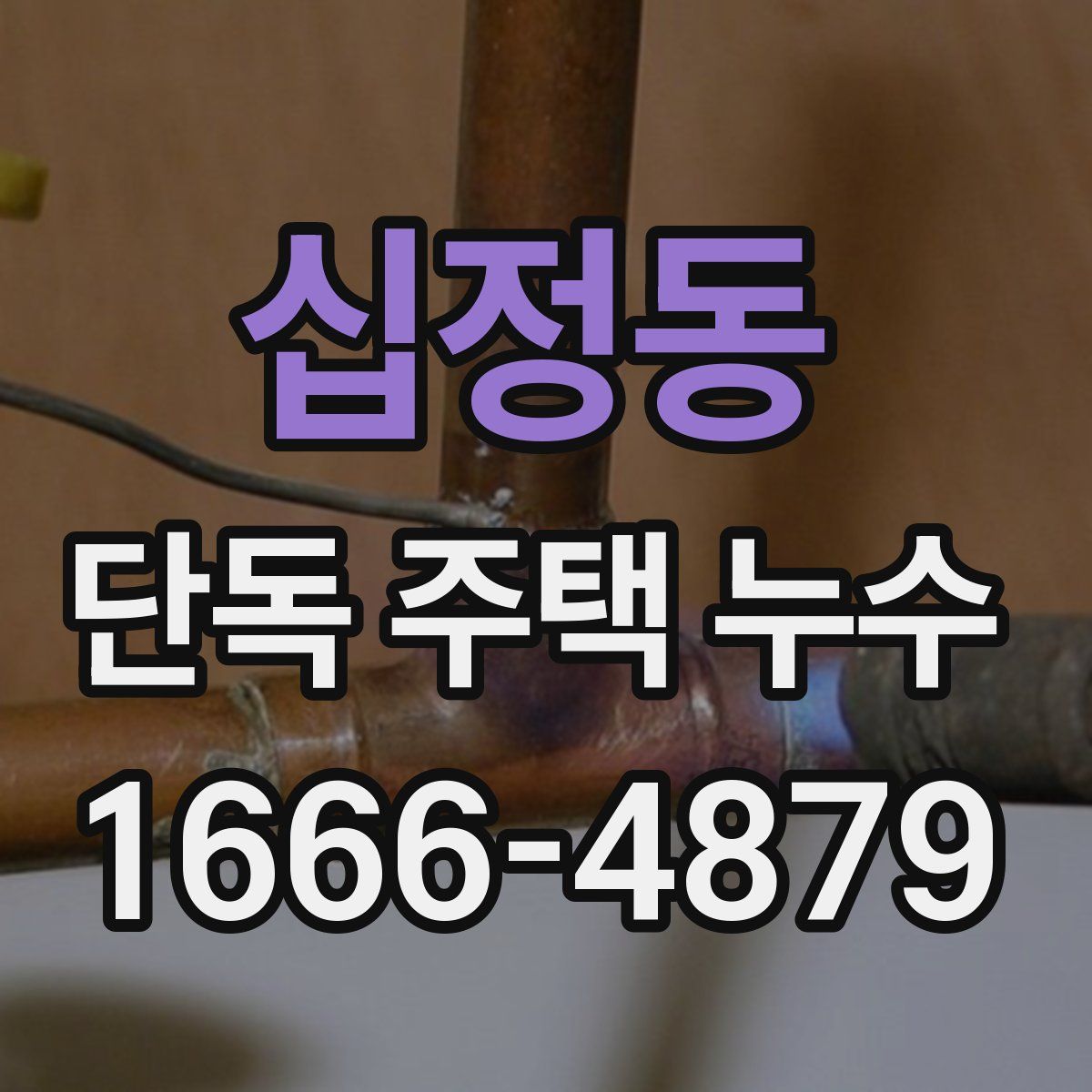 십정동 단독 주택 누수