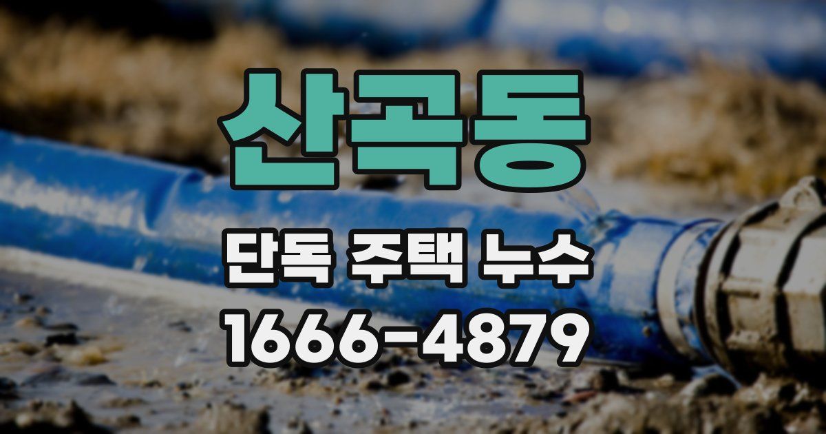 산곡동 단독 주택 누수