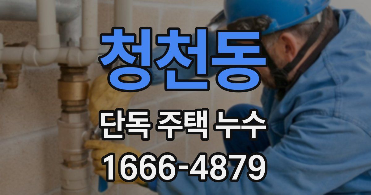 청천동 단독 주택 누수