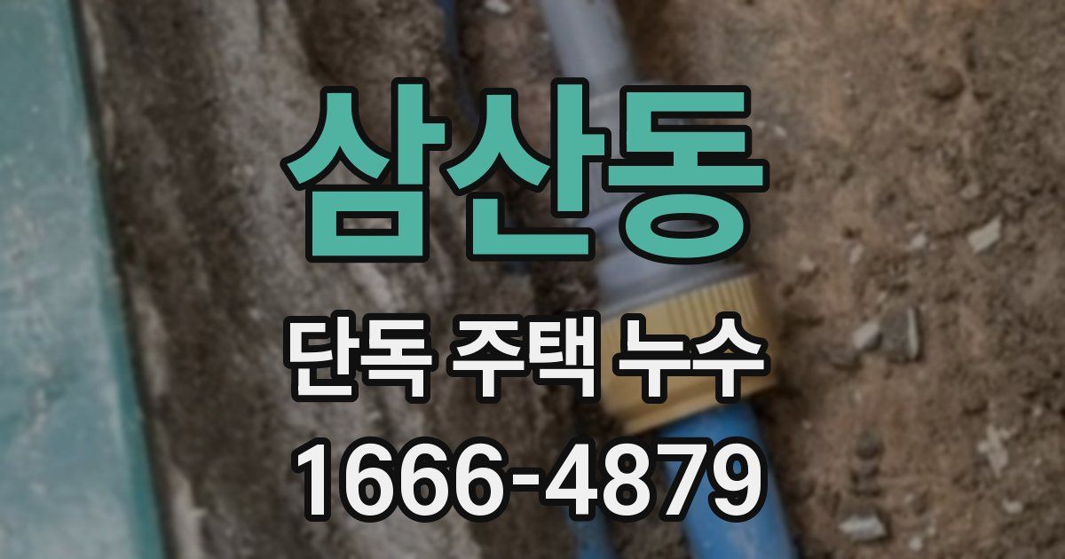 삼산동 단독 주택 누수