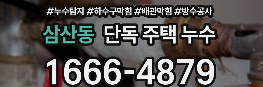 삼산동 단독 주택 누수