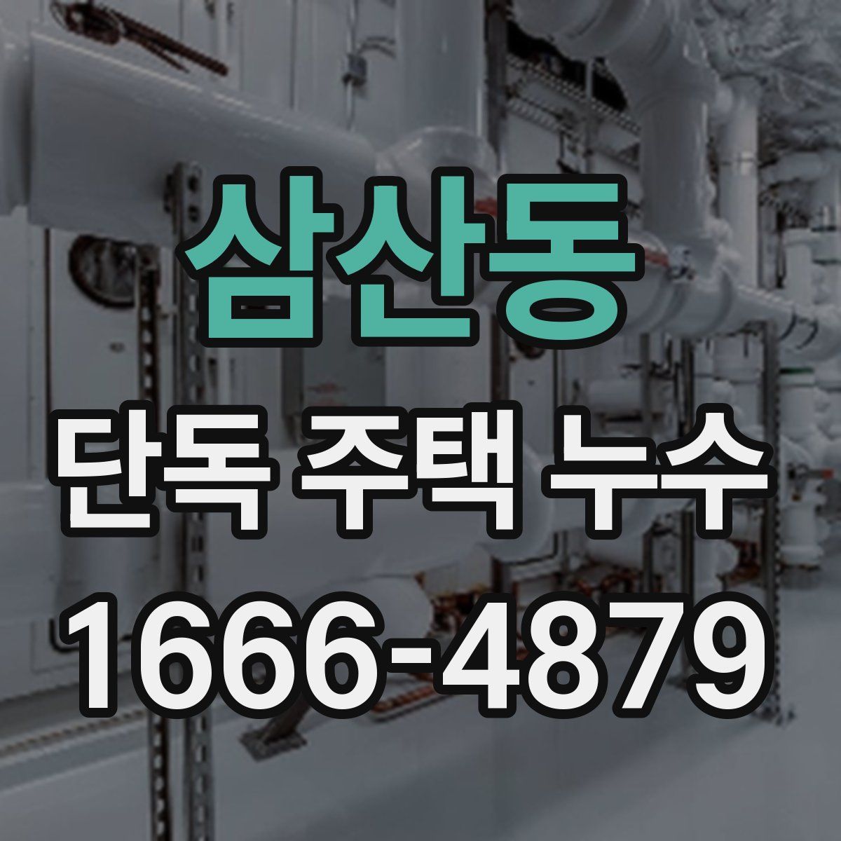 삼산동 단독 주택 누수