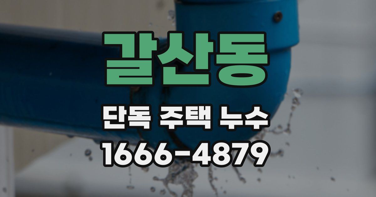 갈산동 단독 주택 누수