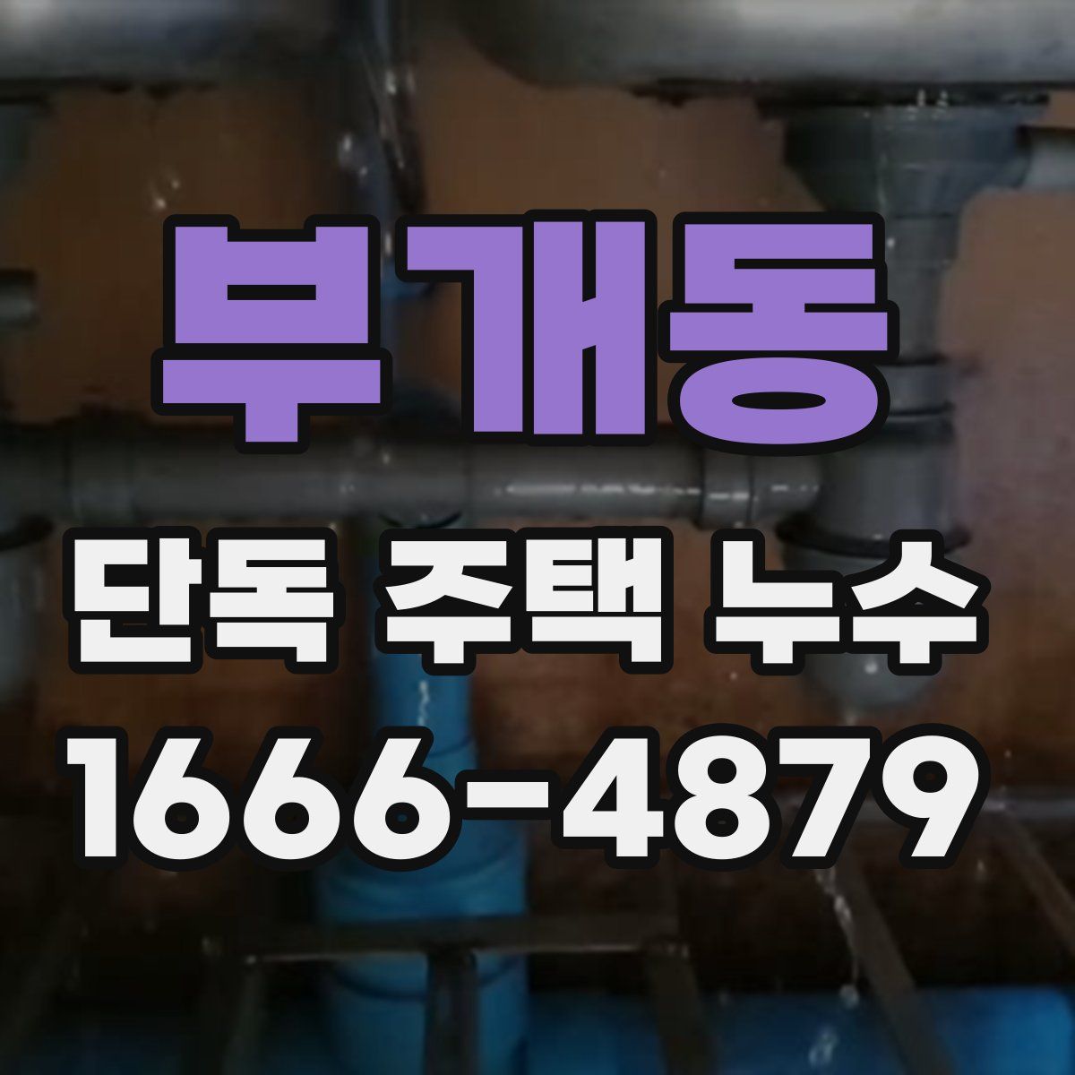 부개동 단독 주택 누수