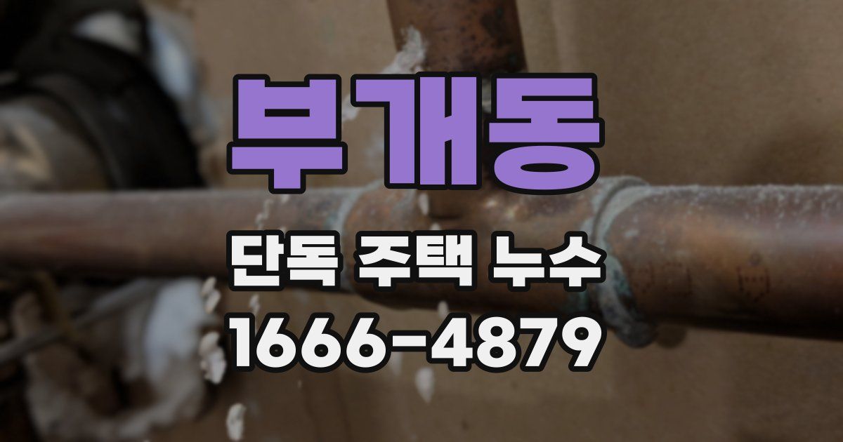 부개동 단독 주택 누수