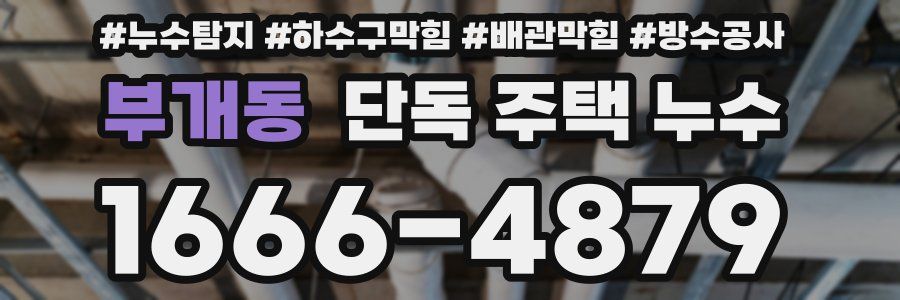 부개동 단독 주택 누수