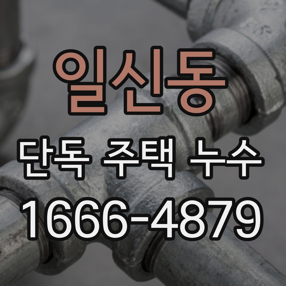 일신동 단독 주택 누수