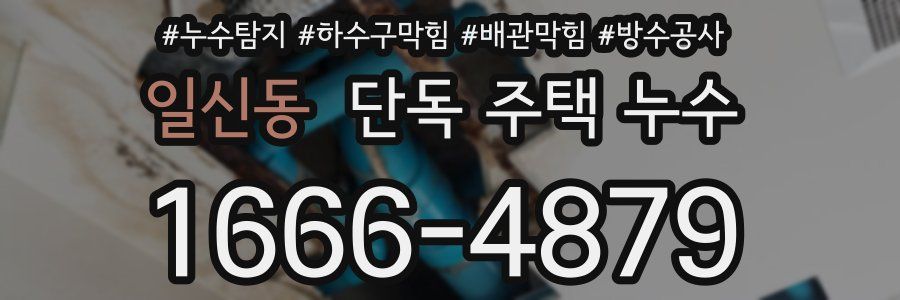 일신동 단독 주택 누수