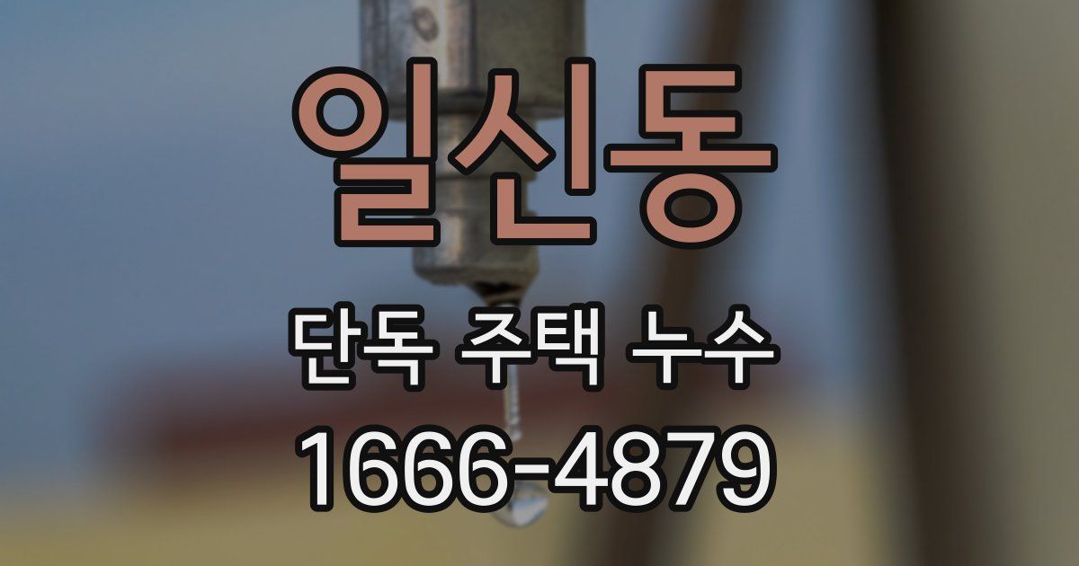 일신동 단독 주택 누수