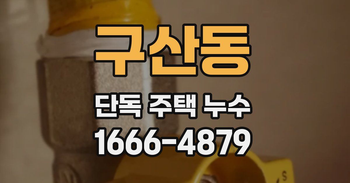 구산동 단독 주택 누수