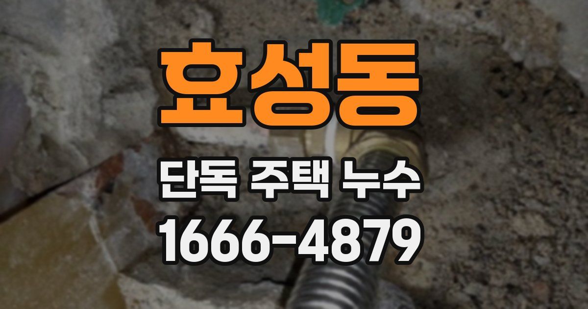 효성동 단독 주택 누수