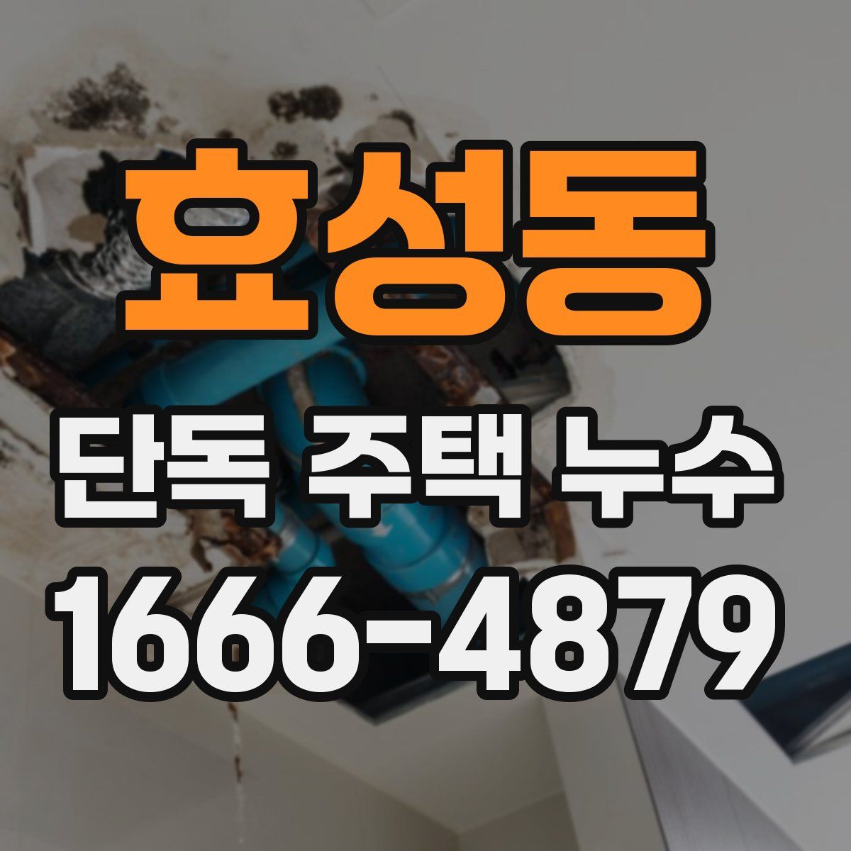 효성동 단독 주택 누수