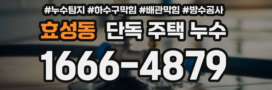 효성동 단독 주택 누수