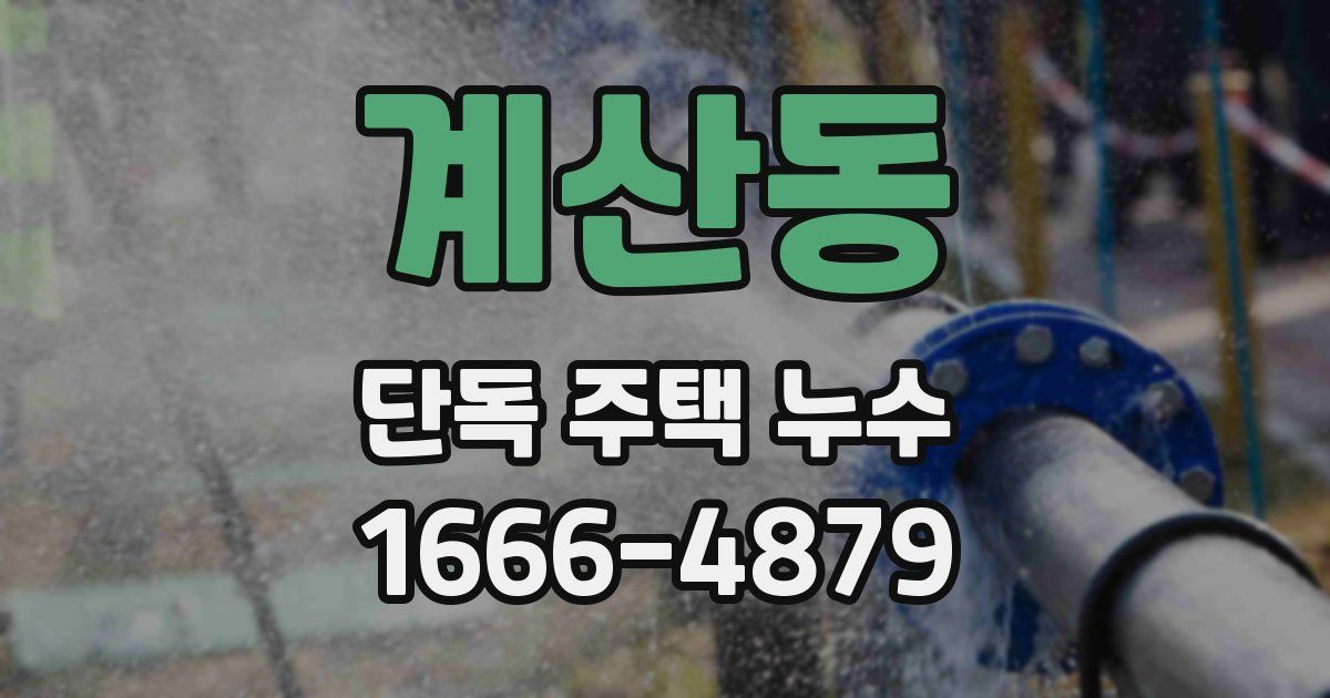 계산동 단독 주택 누수