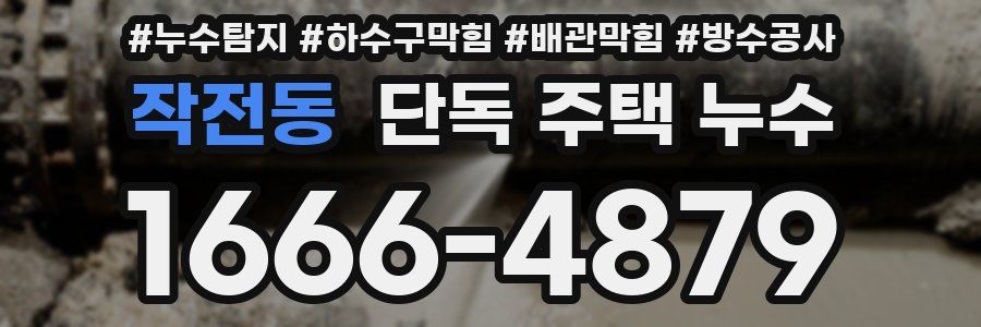 작전동 단독 주택 누수