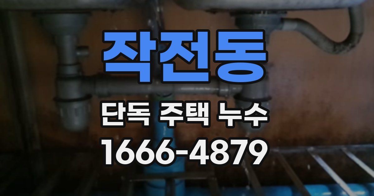 작전동 단독 주택 누수